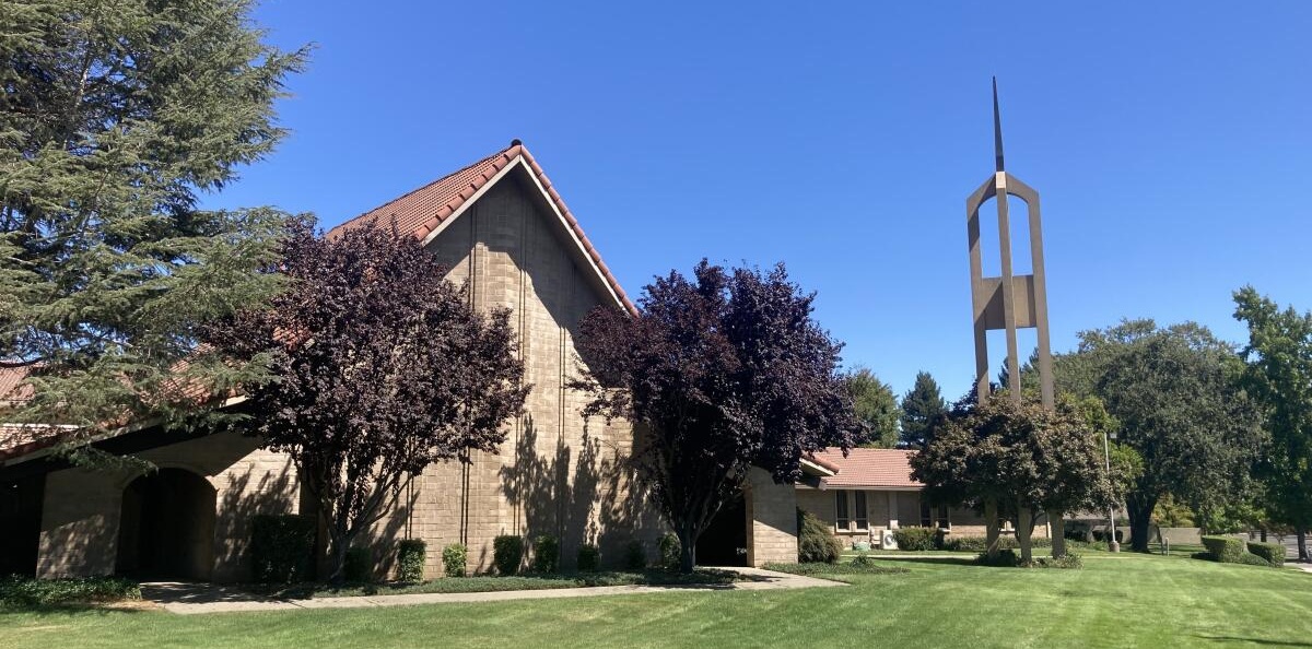 LDS Abuse